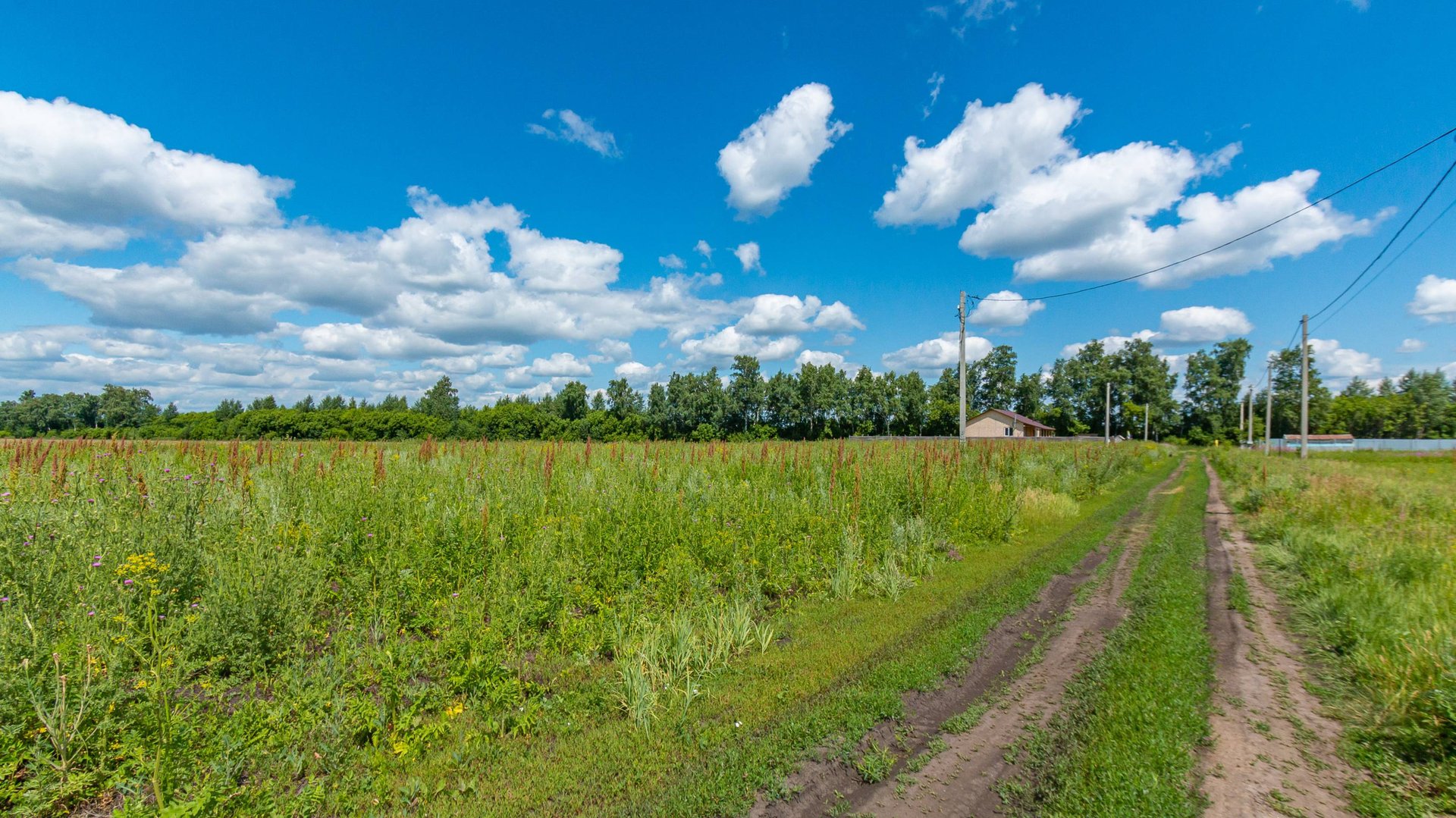 коттеджный послок Седьмая Миля смотреть онлайн