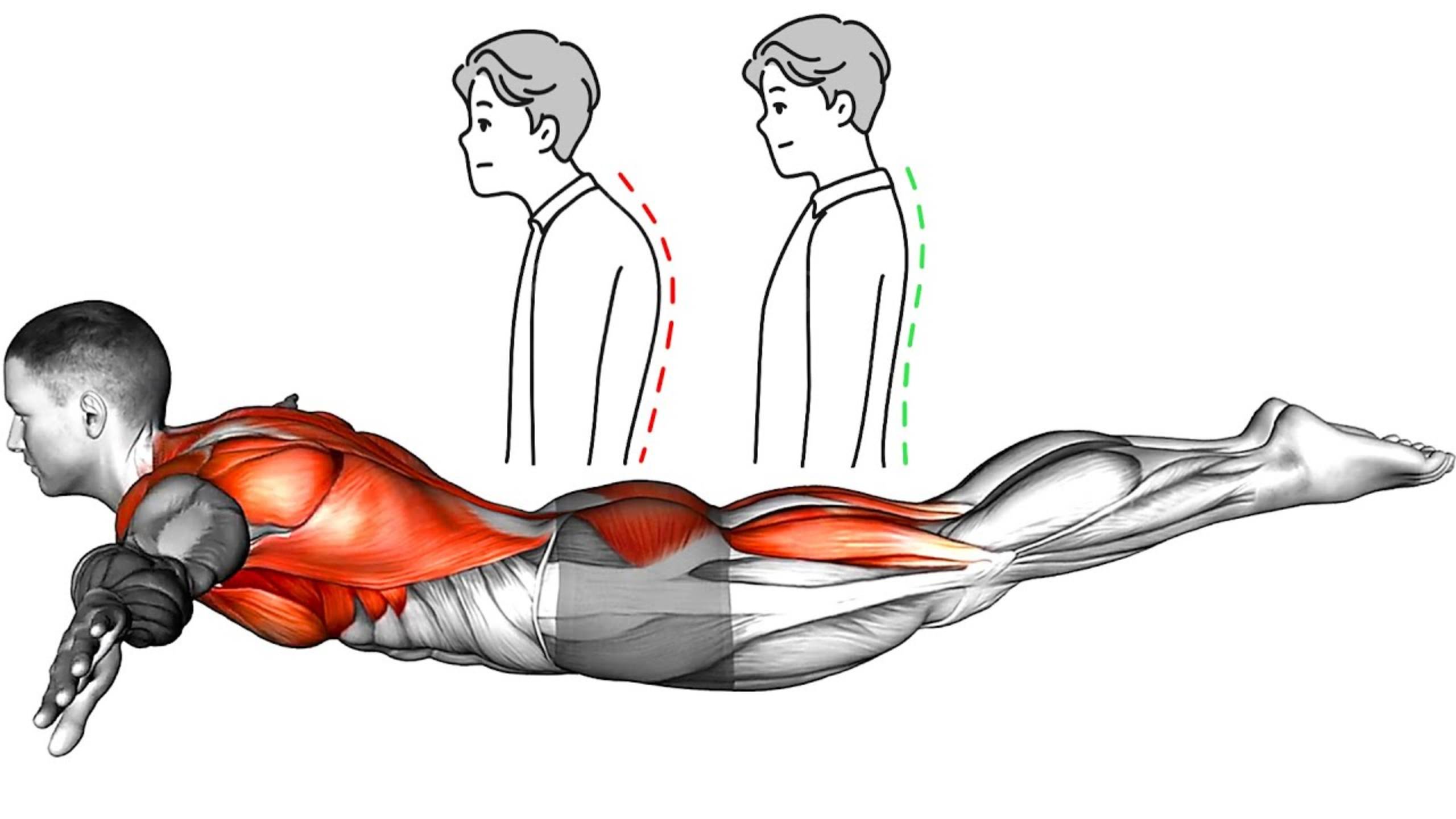 Упражнения для укрепления СПИНЫ смотреть онлайн
