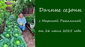Дачные сезоны с Мариной Рыкалиной от 26 июня 2025 года