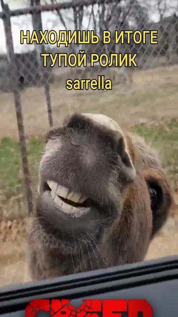 СОВПАДЕНИЕ?