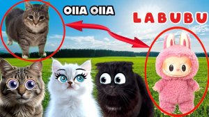 Никогда НЕ Зови на Помощь OIIAOIIA CAT! ЛАБУБУ, ты нас ДОСТАЛА!