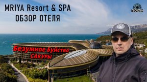 Что посмотреть в Крыму? Обзор отеля Мрия. Mriya Resort & SPA. Японский сад, цветение САКУРЫ в Мрии.
