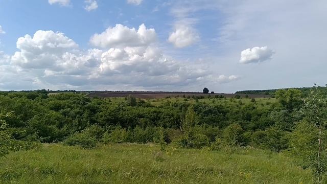 Начала красить стены. Вернулись в деревню. Удивилась небывалому урожаю. смотреть онлайн