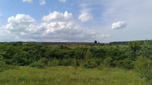 Начала красить стены. Вернулись в деревню. Удивилась небывалому урожаю.