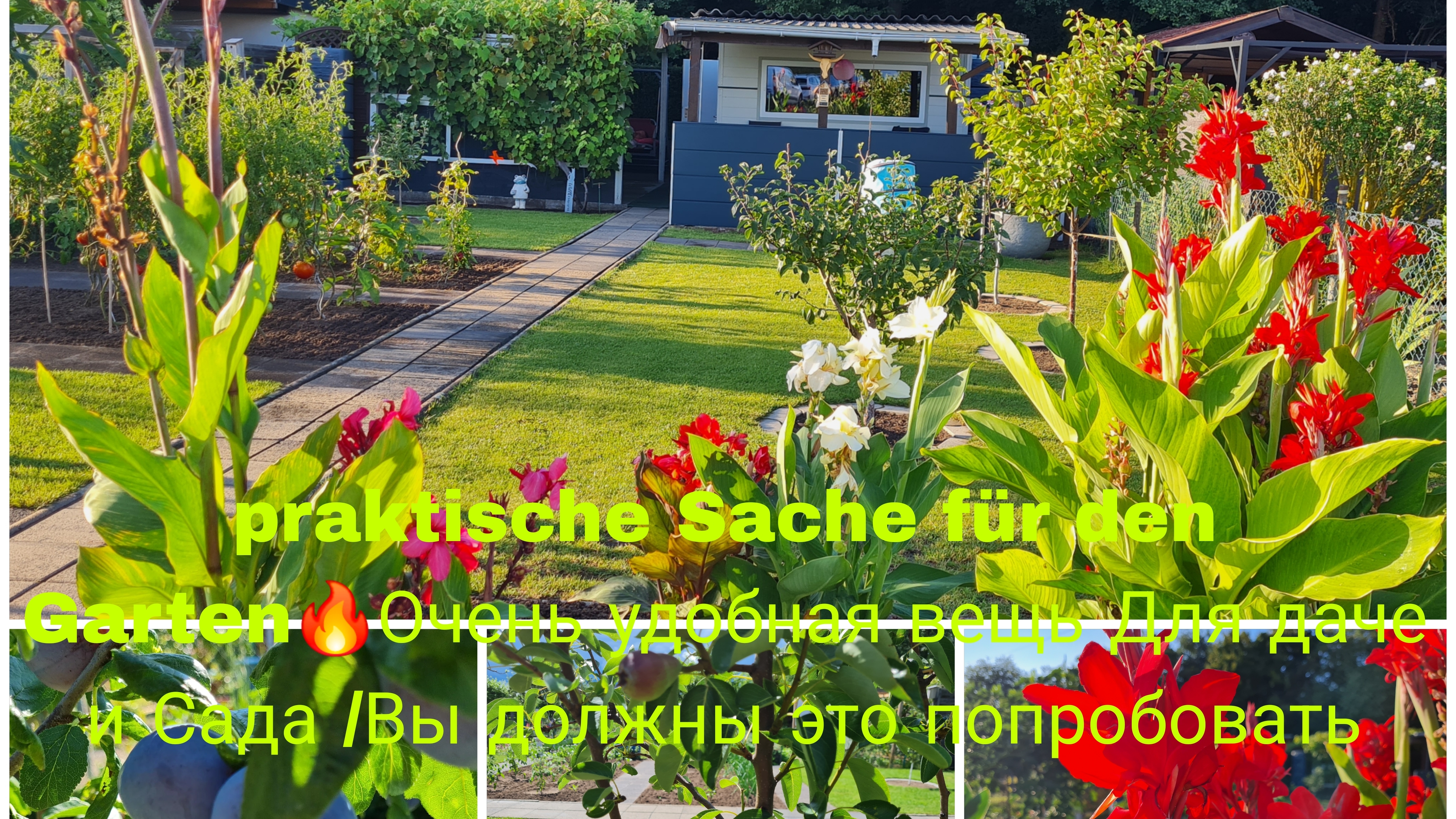 Vlog 🇩🇪 Наша Дача/Неузнаю Свою Дачу 🏕/Огурцы Ростут хорошо и без Удобрения/Мои помошник ? смотреть онлайн