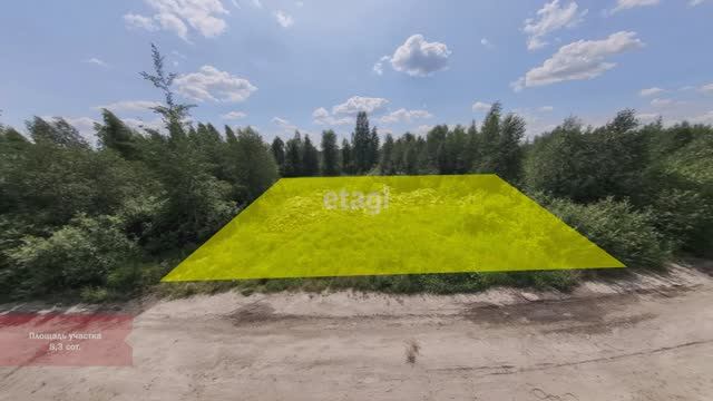 7 8917206 и 8917277 смотреть онлайн