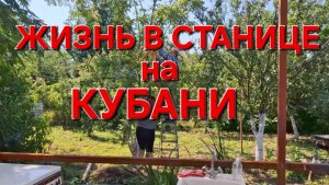 565 🏠  Они всё время рождаются.Спасаем что осталось. Жизнь в станице на Кубани.