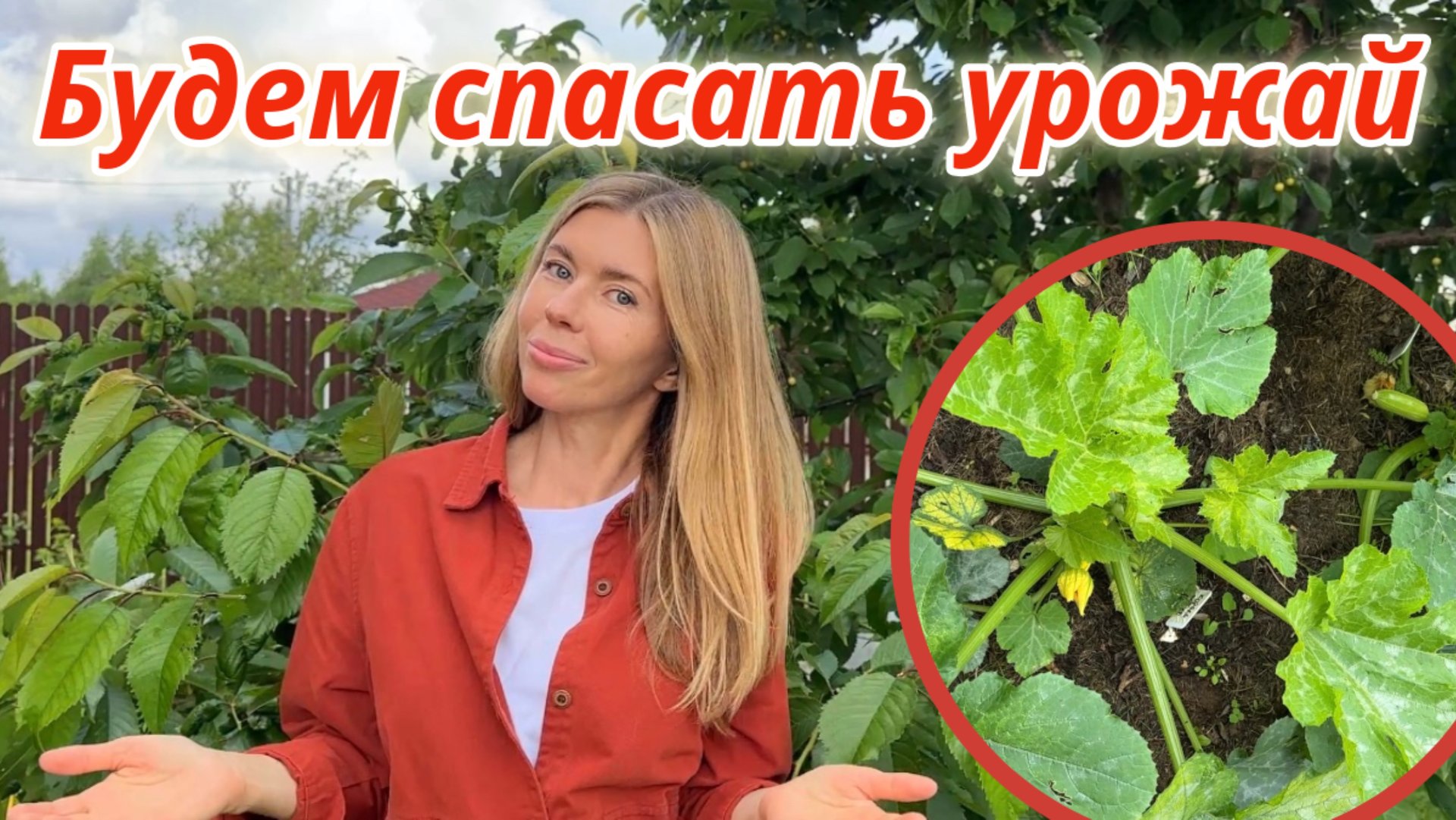 Заливает дождями. В открытом грунте не растут даже кабачки смотреть онлайн