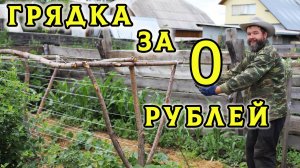 Огурцы на верёвке! Проверяю крутой способ с интернета  работает или нет?🧐🥒