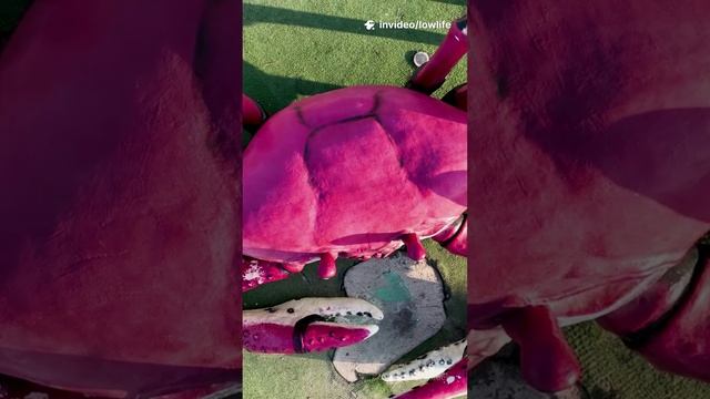 баги в играх которые вы могли не замечали