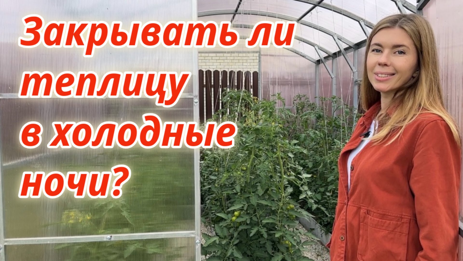 Томаты в теплице без болезней и вредителей. Правила ухода за растениями в теплице смотреть онлайн