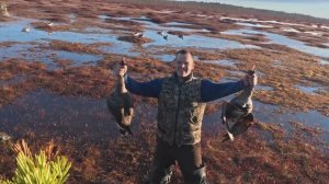 Охота на гуся. Гуси начали отзывается и лететь на присаду.