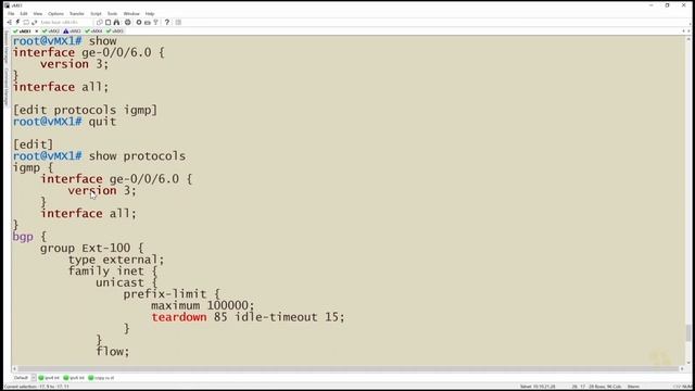 07. Source-Specific Multicast (SSM) смотреть онлайн