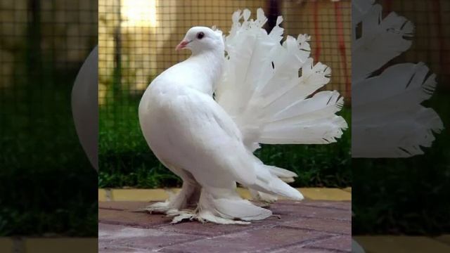 Это интересно-13