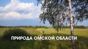 ПРИРОДА ОМСКОЙ ОБЛАСТИ