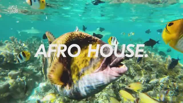 4K Bora Bora SUMMER AFRO HOUSE Mix (Adam Port, Avicii, The Weeknd, Coldplay, Diplo) - Summer Vibes смотреть онлайн