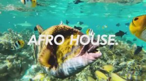4K Bora Bora SUMMER AFRO HOUSE Mix (Adam Port, Avicii, The Weeknd, Coldplay, Diplo) - Summer Vibes