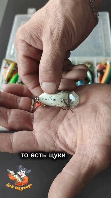 моя самая рабочая приманка #рыбалка #рыболовныймагазин #ловлянаспиннинг #летняярыбалка #воблер