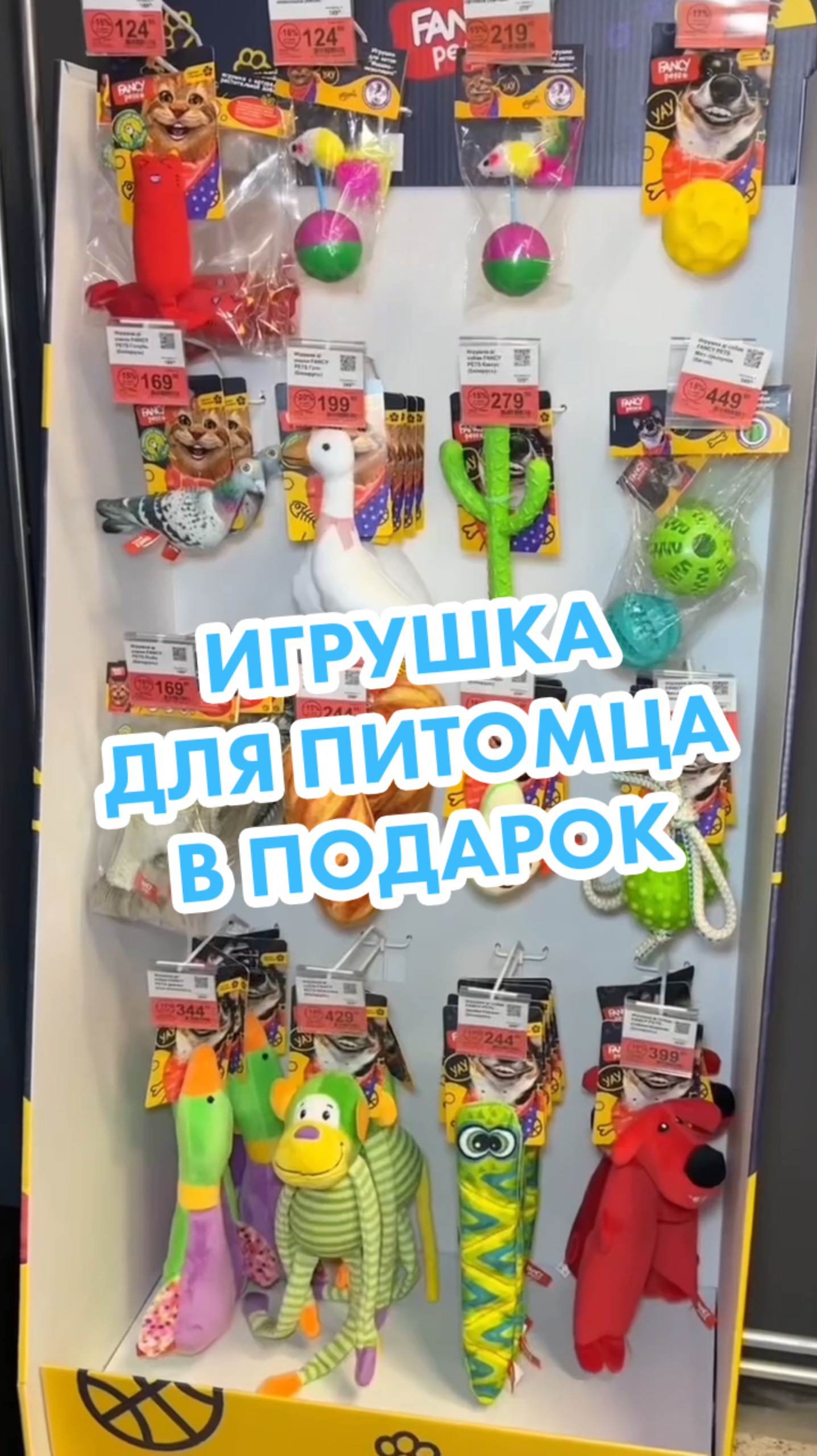 «Лента Зоомаркет» дарит игрушку за покупки от 5 000₽ 🐶 Выбирайте подарок с 27 по 29 июня! смотреть онлайн