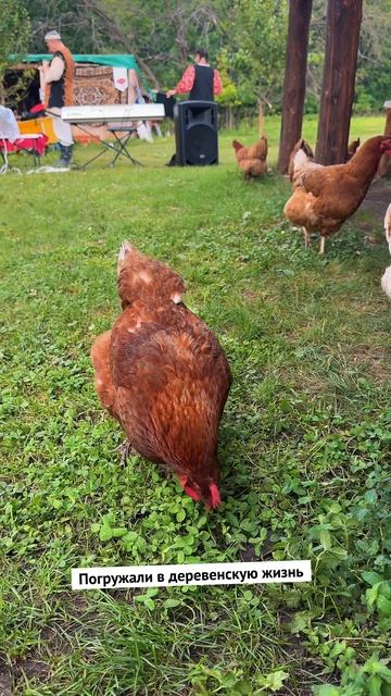 Как нас встретили в Башкортостане смотреть онлайн