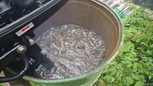 Лодоч мотор ФЛЭЙЗЕР 4.0 регулировка карбюратора..