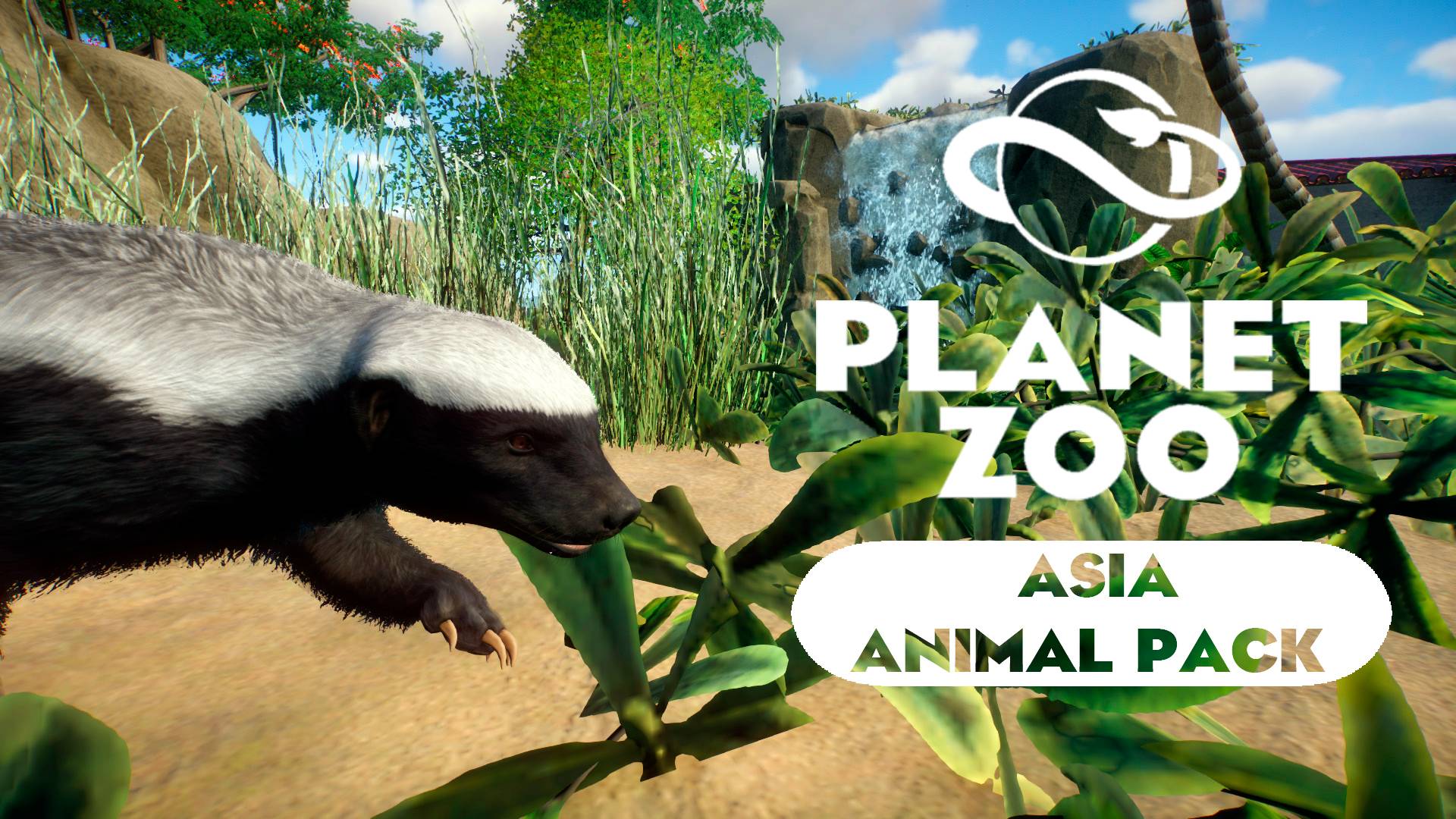 Planet Zoo: Asia Animal Pack - Медоед смотреть онлайн