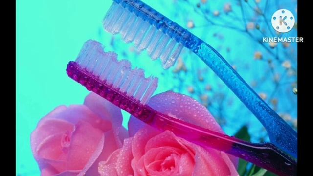 День рождения зубной щëтки смотреть онлайн