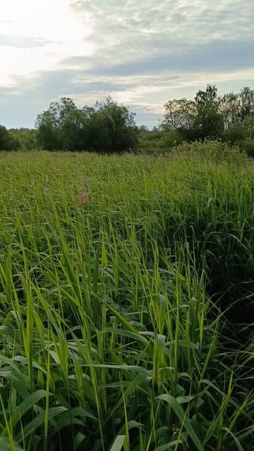 Кудиновский карьер смотреть онлайн