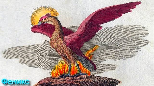 Ответы на Вопросы по Эзотерике от 26.06.25 Часть 3 смотреть онлайн