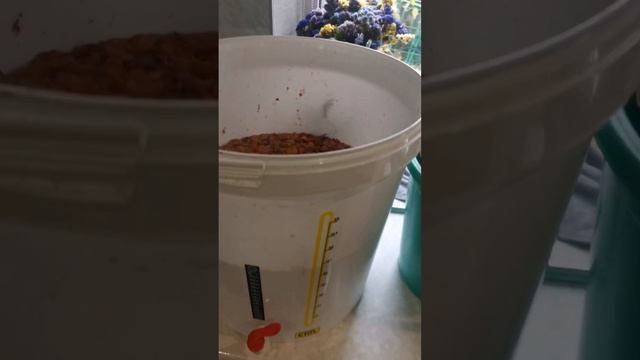 Домашнее клубничное вино своими руками это просто и вкусно 2025г. смотреть онлайн