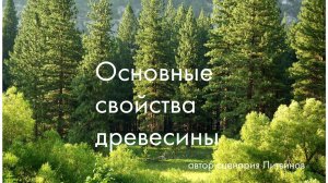 Свойства древесины