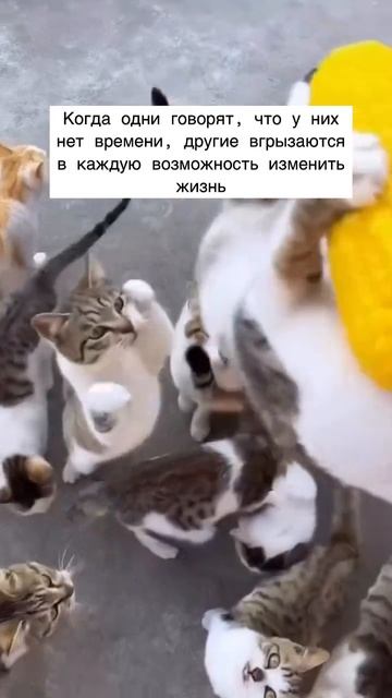 Это невозможно- говорили они))