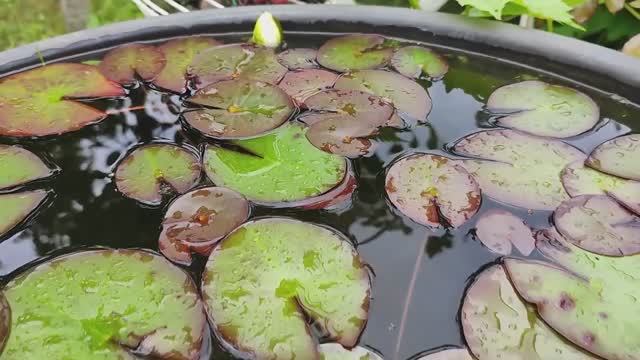 Моя трудовая биография. Немного о себе. Встреча с детьми. Обустройство дома. Жизнь в деревне. смотреть онлайн