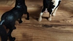 Простите что сначала выставила 3 серию. серия. Сериал шляйх / 2 серия /
,, На далёком растояние"