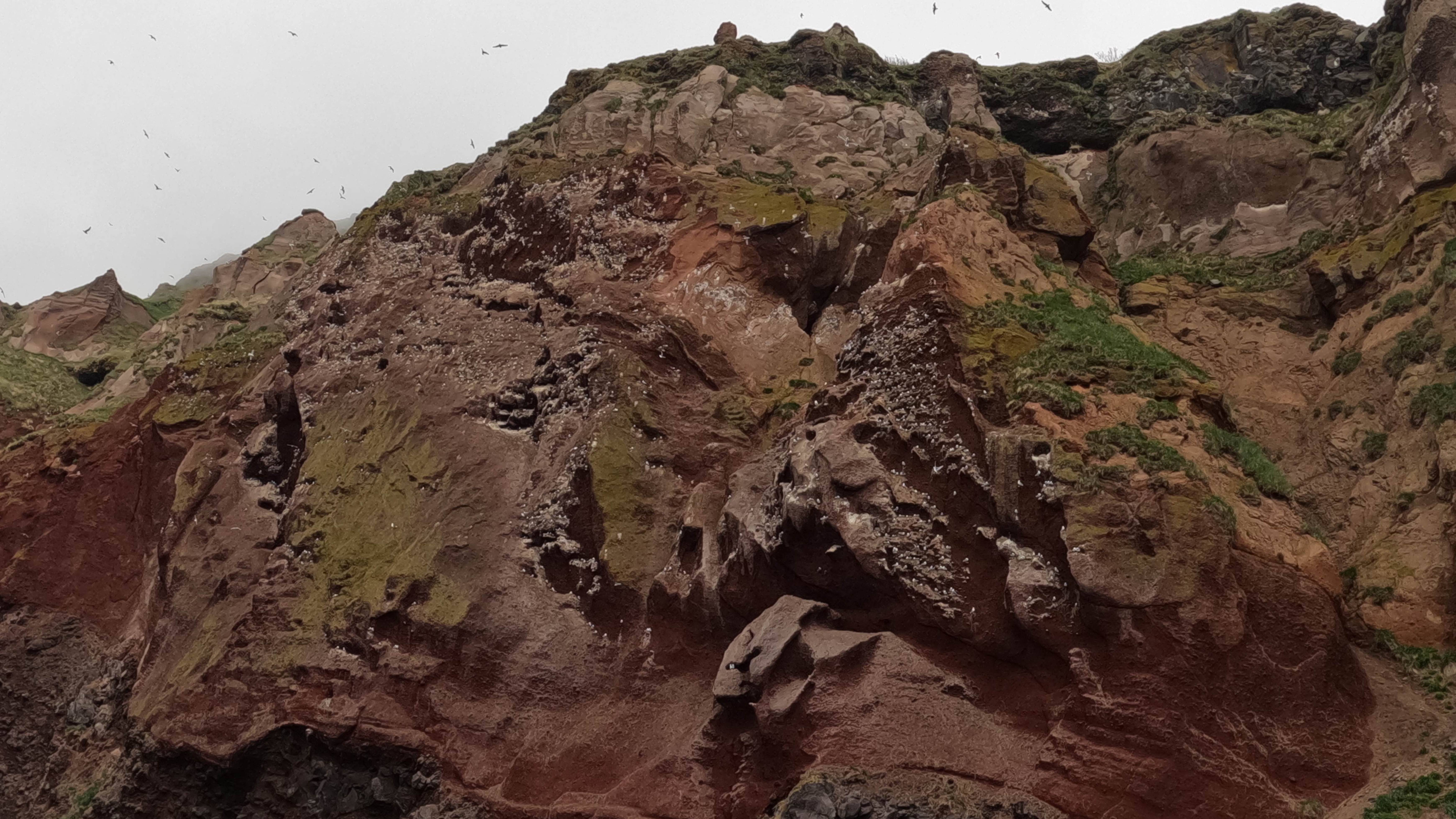 Камчатка 2025. Птичий дом!