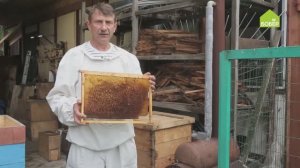 СОВЕТЫ ПЧЕЛОВОДА. Как очистить пчеловодческие рамки