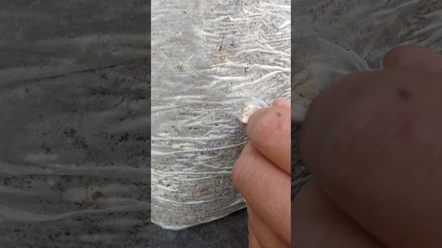 КАК ПРАВИЛЬНО ОБРАЩАТЬСЯ С БЛОКАМИ ВЕШЕНКИ смотреть онлайн