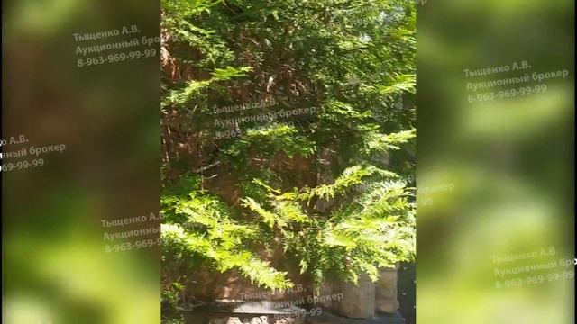 Дом 915 кв.м. в ТСЖ Подушкино. Барвиха.