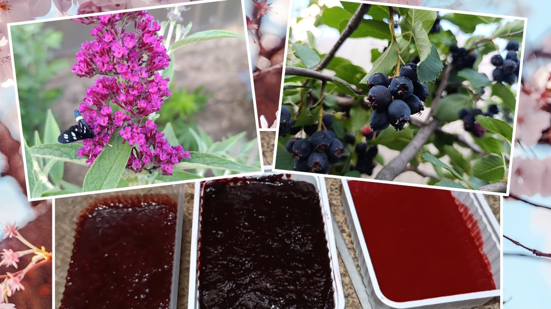 Вечер со мной😉.Жизнь в деревне... смотреть онлайн