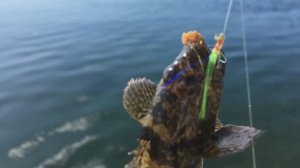 Рыбалка на набережной Керчи.