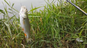 1 серия.Сутки на рыбалке .