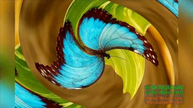 ПОСМОТРИ,КАК ПРЕКРАСЕН ЭТОТ МИР! МУЗЫКА И ПЕСНИ УМАР КЕЙН.ВЕЧЕРНИЙ РЕЛАКС