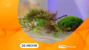Утро России. Калуга (26.06.2025)