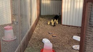 Ч.3 заключительная.