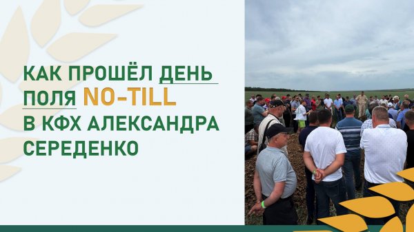 Прямой посев против засухи | Как прошёл День поля no-till в КФХ Александра Середенко