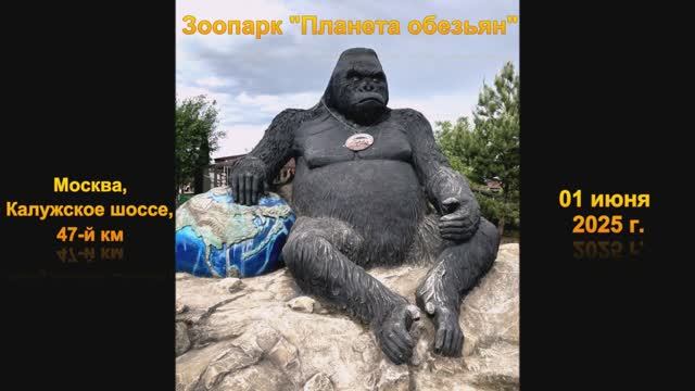 Зоопарк Планета обезьян.01.06.25. Отзыв многодетных родителей смотреть онлайн