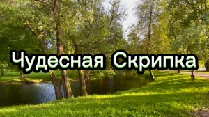27 мая день города Санкт-Петербург. Прекрасная скрипка, музыка для души
