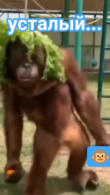 С работы-домой 🤪