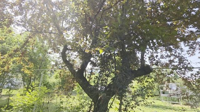 ИЖС 8 сот. с Адербиевка.mp4