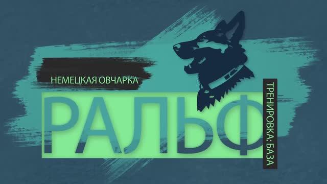 Ральф. Тренинг, база.